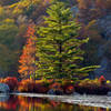 Beautiful colors in Harriman State Park