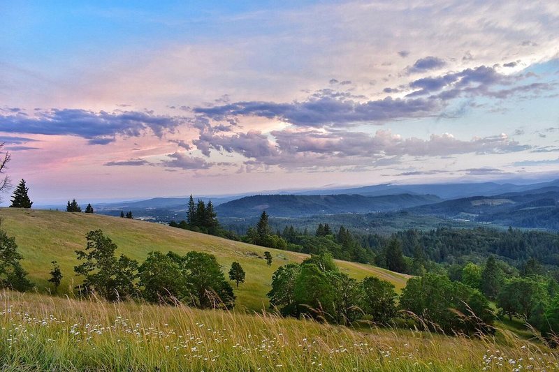 Fitton Green Meadow at sunset