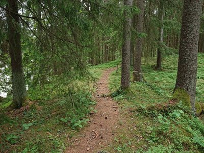 near the cabin looking south west