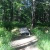 One of the few bridges on the Whitney Brook Trail