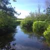 Great views of the brook on one of the side trails