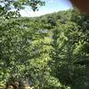 View of Crosswicks Creek through trees