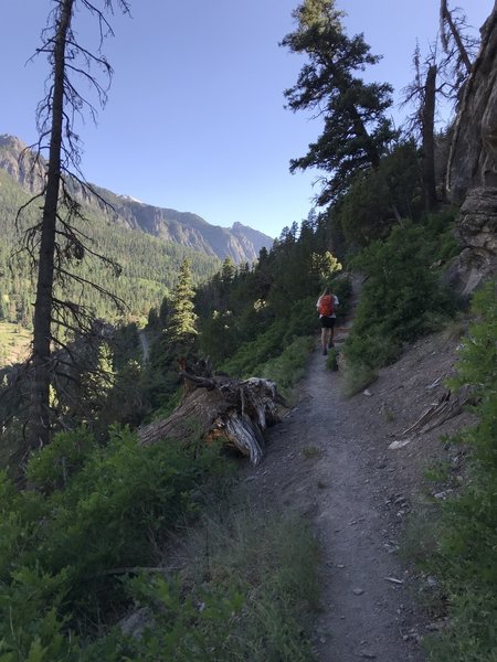 Old Twin Peaks Trail - Looking down the Valley over Ouray