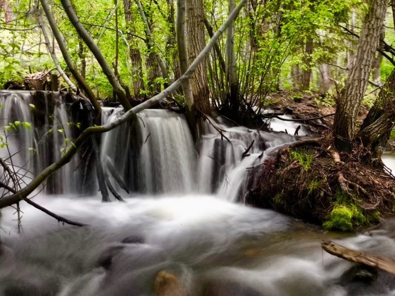 Upper Thomas Creek May 2018