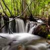 Upper Thomas Creek May 2018