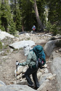 View of trail heading down.