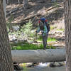 Found a differnt & larger log for crossing the creek on the way out.