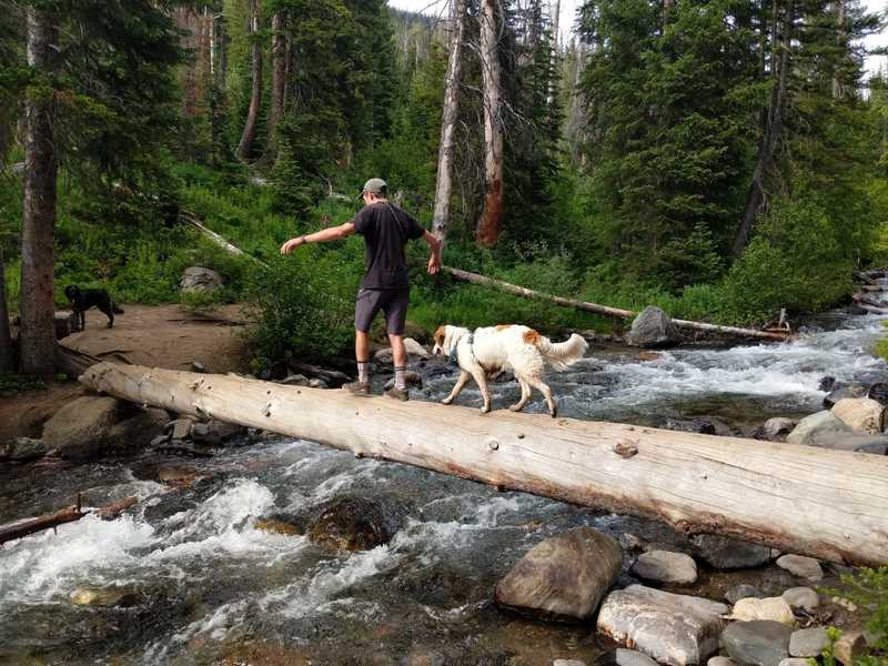 One of the easier log creek crossings going down on Gold Creek Lake Trail.