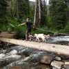 One of the easier log creek crossings going down on Gold Creek Lake Trail.