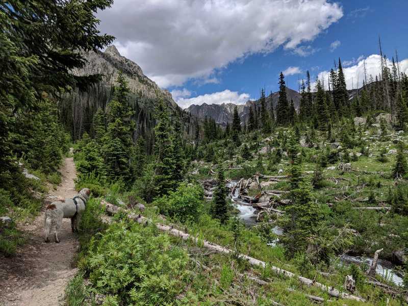 Heading up to Gilpin Lake, late June.