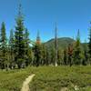 Hat mountain rises to the northeast, as Terrace, Shadow, and Cliff Lakes Trail travels through firs and manzanita ground cover.