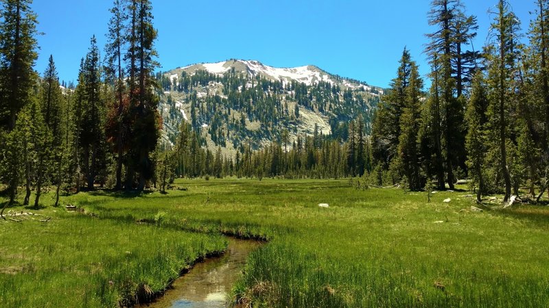 Reading Peak rises to the south-southwest, above a lush, high meadow along Terrace, Shadow, and Cliff Lakes Trail in late June.