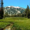 Reading Peak rises to the south-southwest, above a lush, high meadow along Terrace, Shadow, and Cliff Lakes Trail in late June.