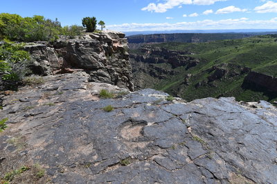 Dinosaur track near cliff edge