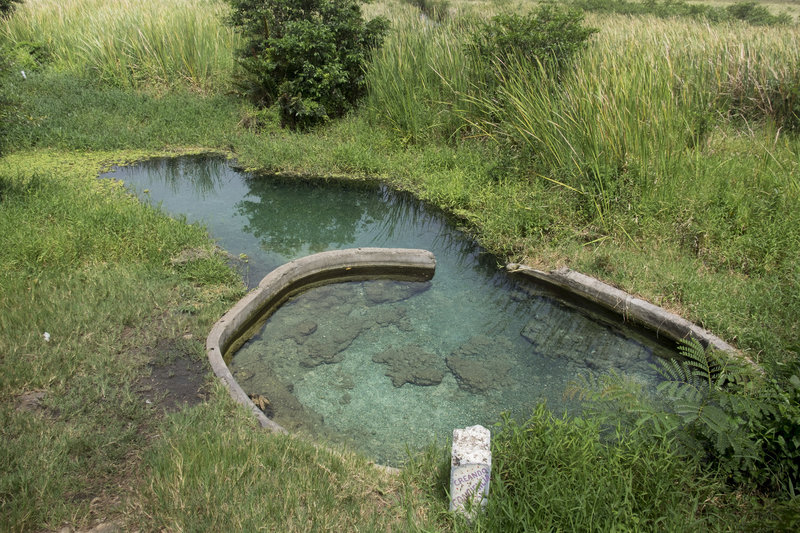 Ojo de Agua Spring