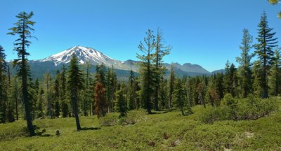 Lassen Peak on the left, and Chaos Crags towards the right, looking west from a ridge near the start of Echo Lake/Twin Lakes Trail. The trail goes through low growing manzanita dotted with firs here.