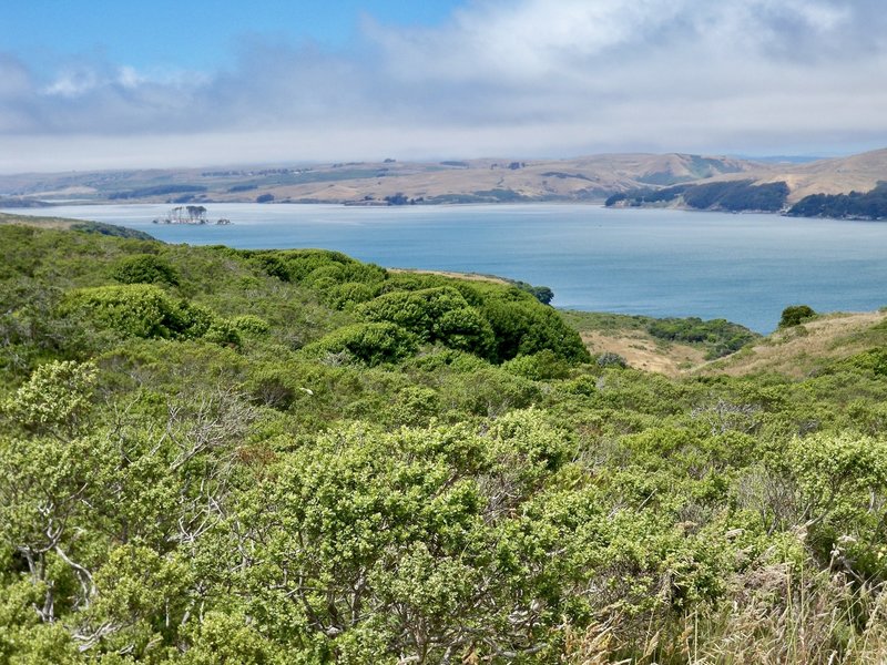 Approx 3/5th into Marshall Beach Trail.