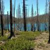 Feather Lake is a jewel in the fire blackened forest. The Reading Wildfire swept through here in 2012.