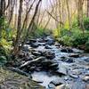 Beautiful stream near the beginning of the trail.