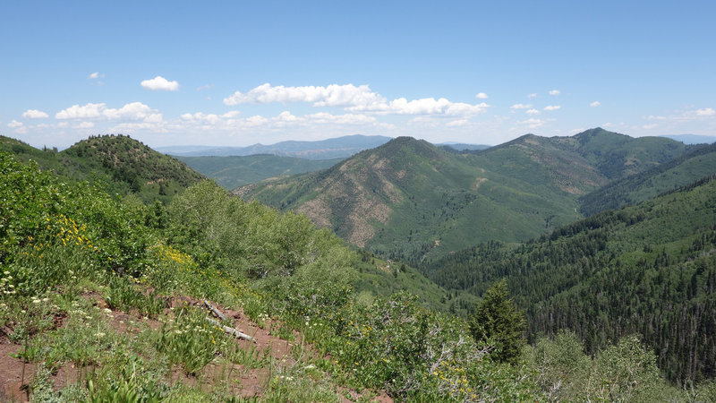 Lamb's Canyon (at the right) viewed from a lunch spot