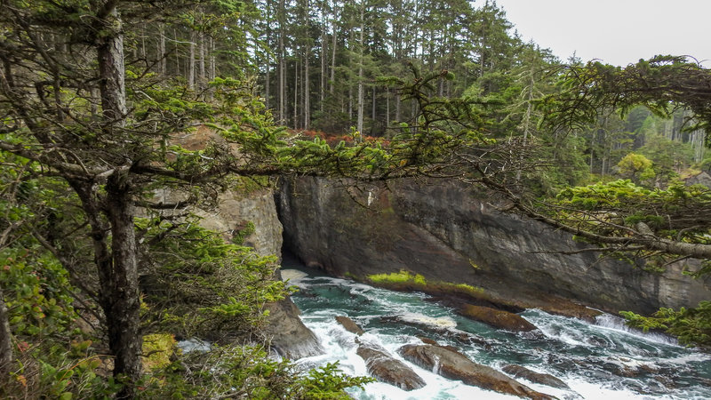 Shoreline at Cape Flattery.