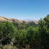 View of Mt. Diablo in the distance