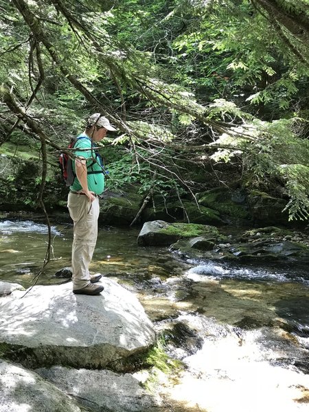 Norway Rapids Trail. Trying to figure out a crossing. Too high and to fast. We turned back