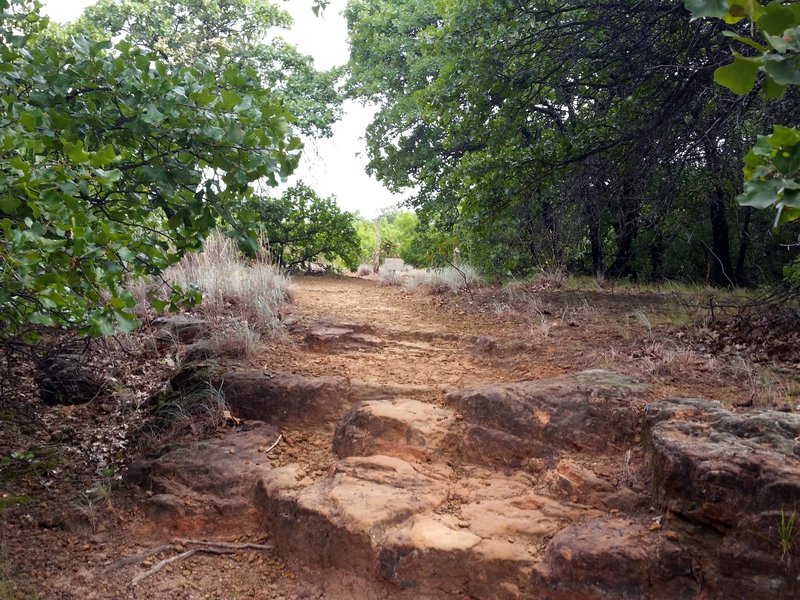 Towards the top of Bluff Trail