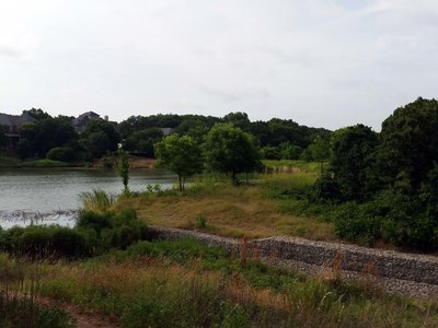 Peaceful, pretty view across the main pond