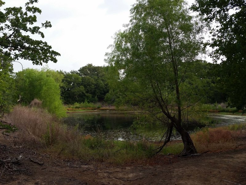 The North Pond, trail hooks around to the right