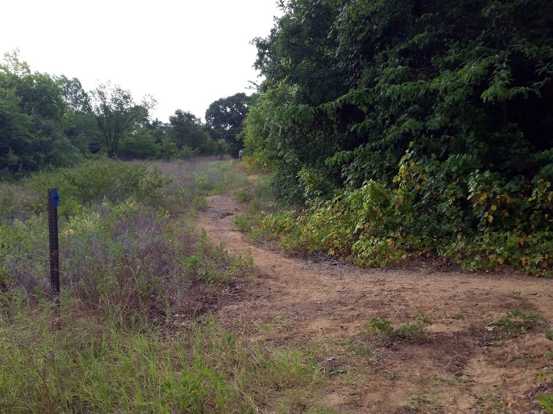 North Pond Trail intersection with Meadow Loop (stright ahead and also to the right)