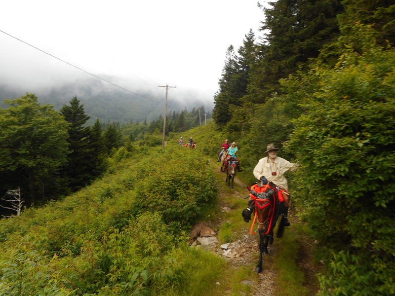 Riding the BHT up near the Mt Mitchell intersection