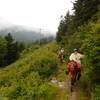 Riding the BHT up near the Mt Mitchell intersection