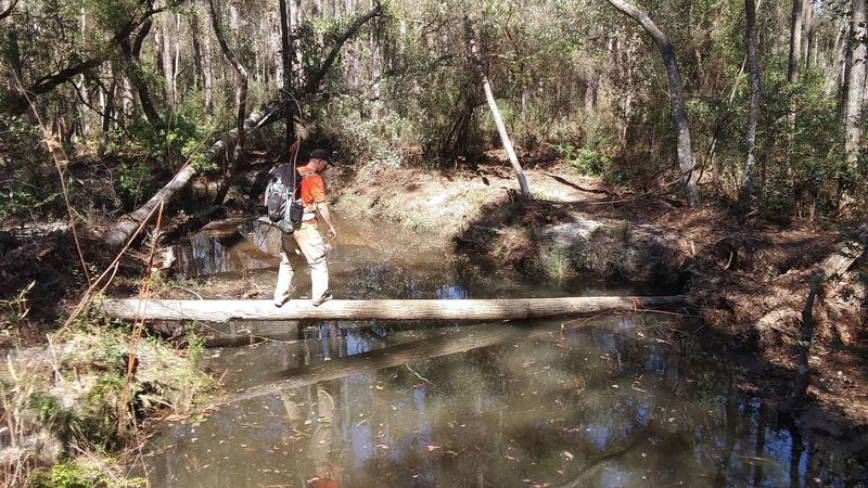 Crossing the creek on an improvised bridge