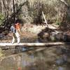 Crossing the creek on an improvised bridge