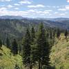 Looking southeast, from the Barber Flat trail, overlooking the Beaver Creak draw.