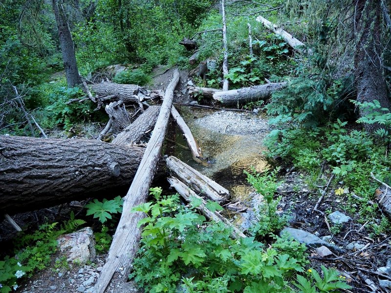 One of the several crossings of the creek