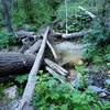 One of the several crossings of the creek