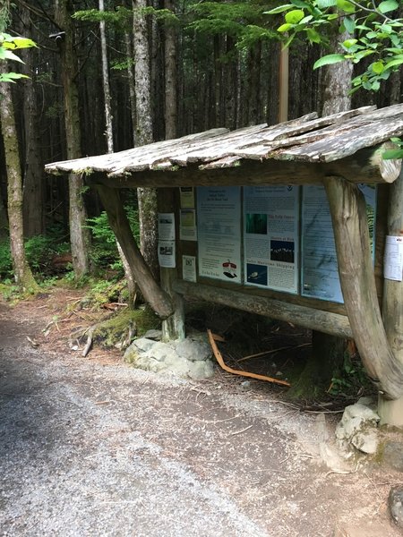 The start of the Shi-Shi Beach Trail.