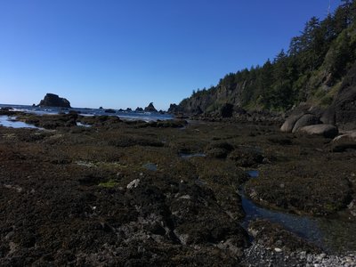 Looking over the tide flats.