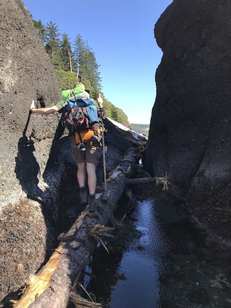 Hiking over a tree, that is suspended over water, between two sea stacks.