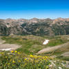 Virginia Peak, Winfield Peak, and Granite Mountain in the distance, looking back at the Huron Peak trail, wildflowers in full bloom.