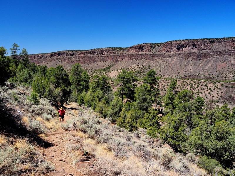 Climbing up the Little Arsenic Springs Trail