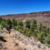 Climbing up the Little Arsenic Springs Trail