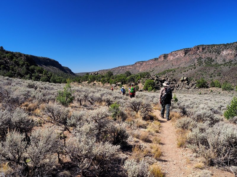 Along the River Trail just south of the Big Arsenic Springs Trail