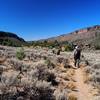 Along the River Trail just south of the Big Arsenic Springs Trail