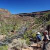 The Rio Grande from the River Trail