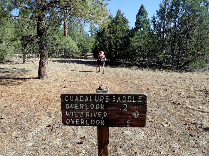 End of the old road and start of the trail to the overlooks