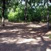 Thicket & Pond Loops junction, with bench and educational info