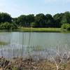 Pond from shared leg of the Thicket & Pond Loops